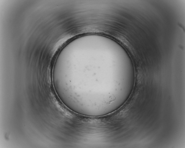 X0000103171030200809051717