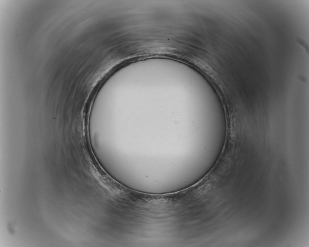 X0000103171031200809051717