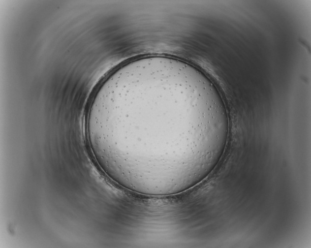 X0000103171032200809051717