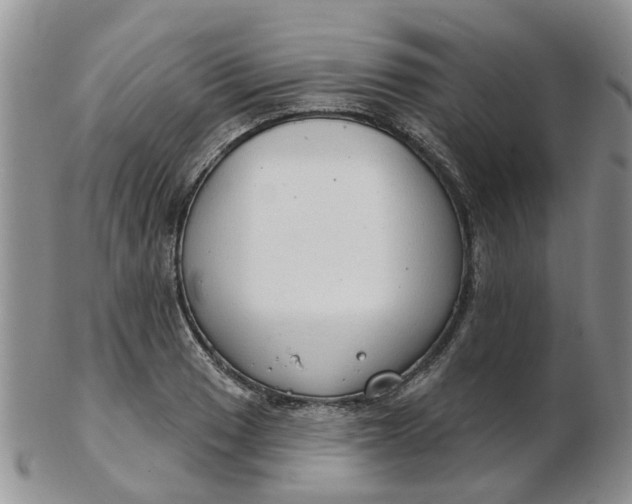 X0000103171033200809051717