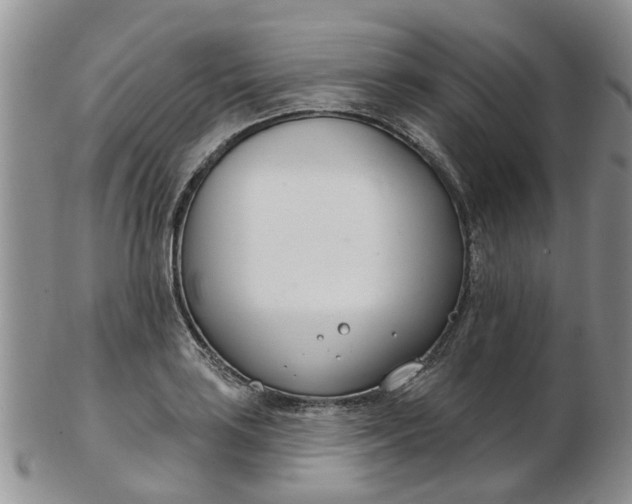 X0000103171035200809051717