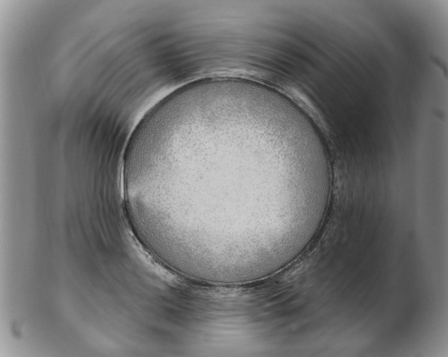 X0000103171036200809051717