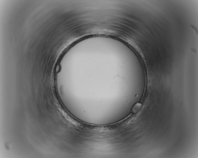 X0000103171037200809051717