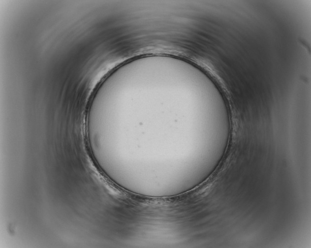 X0000103171040200809051717