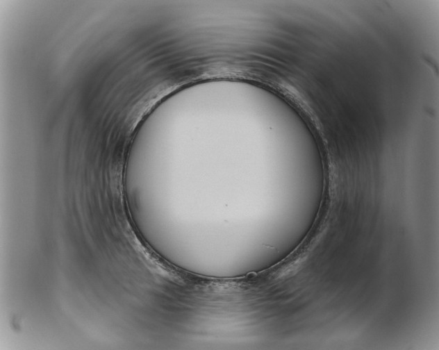 X0000103171041200809051717