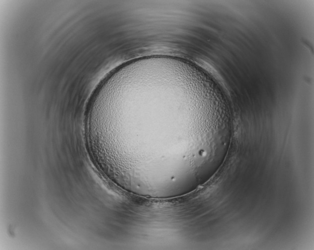 X0000103171043200809051717