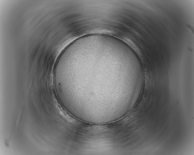 X0000103171044200809051717