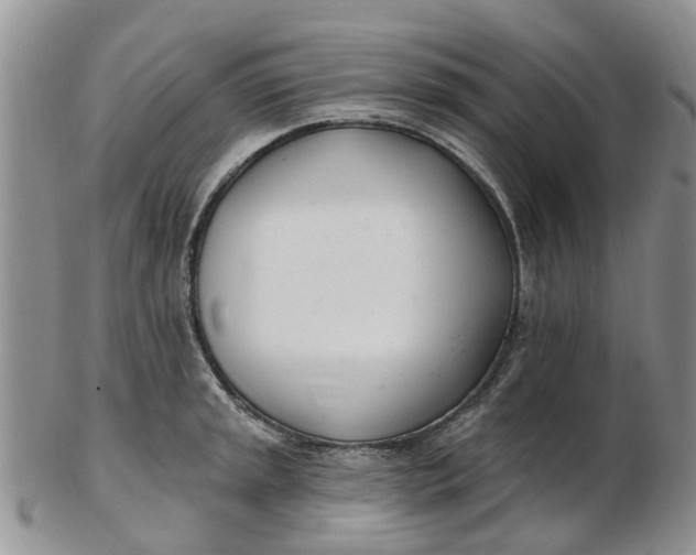 X0000103171045200809051717