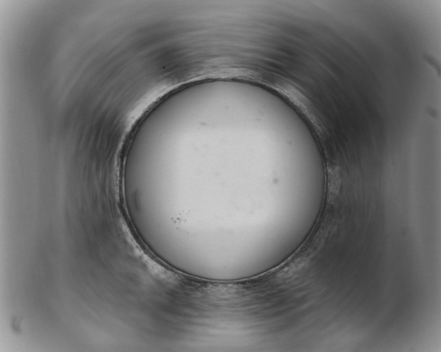 X0000103171046200809051717