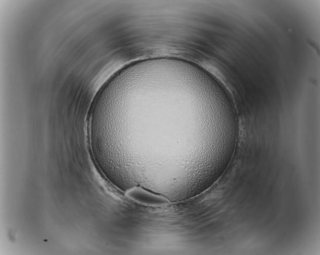 X0000103171047200809051717