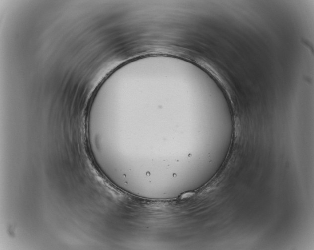 X0000103171048200809051717