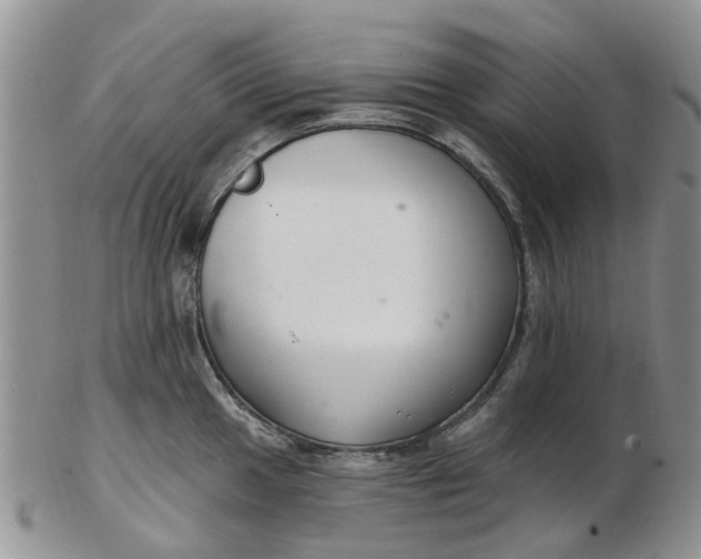 X0000103171049200809051717