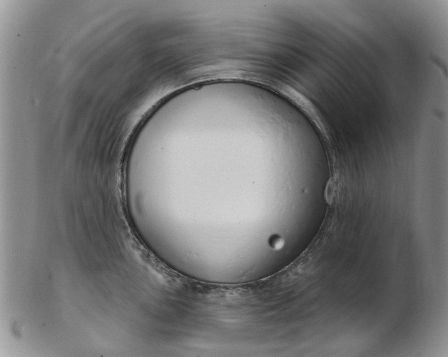 X0000103171051200809051717