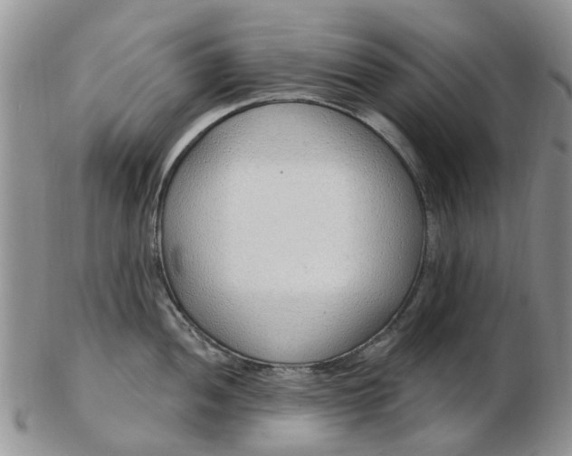 X0000103171052200809051717