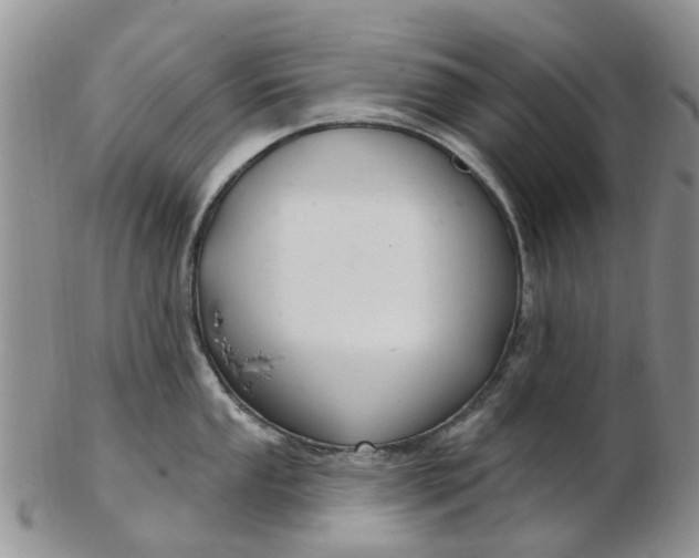 X0000103171053200809051717