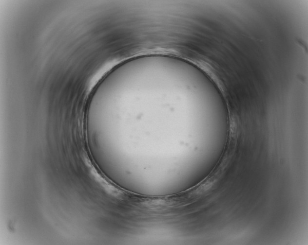 X0000103171054200809051717