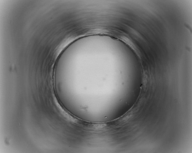 X0000103171055200809051717