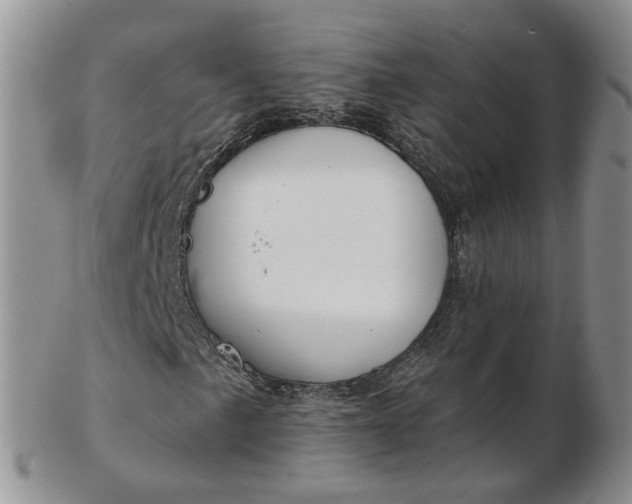 X0000103171057200809051717