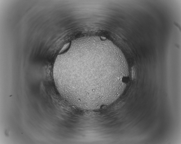 X0000103171059200809051717