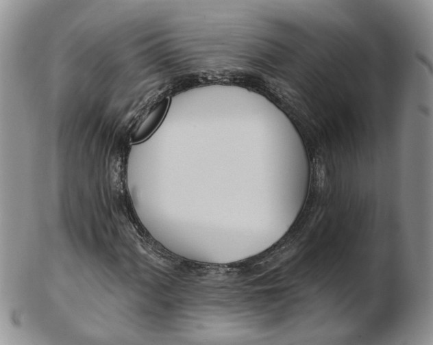 X0000103171060200809051717