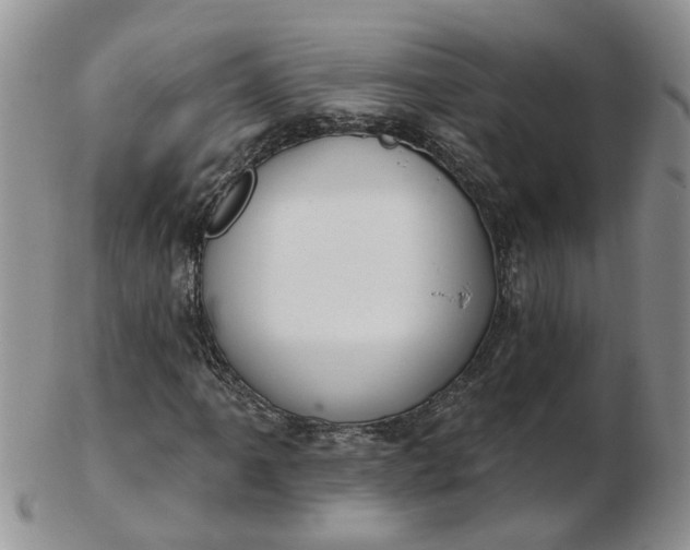 X0000103171061200809051717