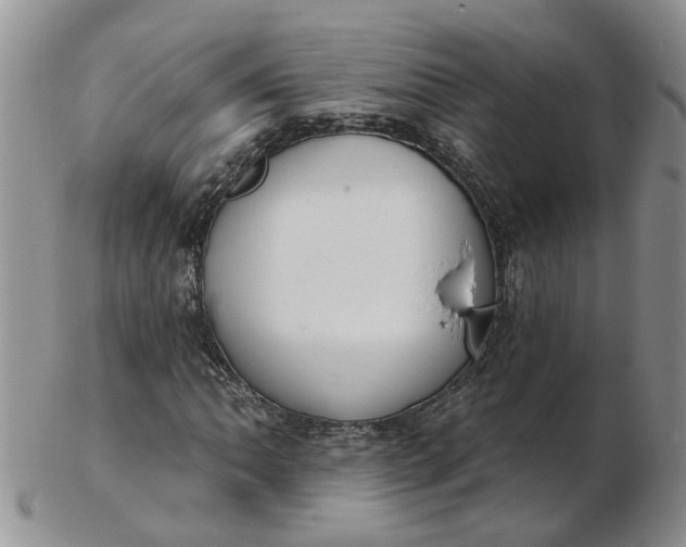 X0000103171062200809051716