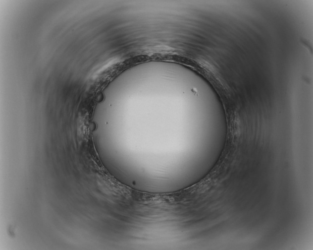 X0000103171063200809051716