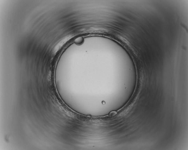 X0000103171066200809051716