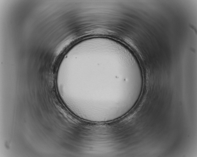 X0000103171067200809051716