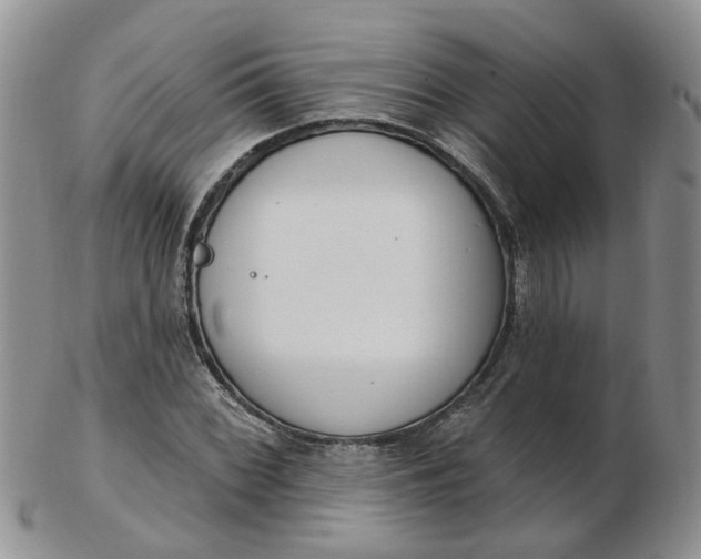 X0000103171068200809051716