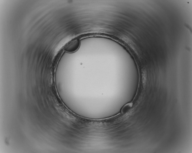 X0000103171069200809051716