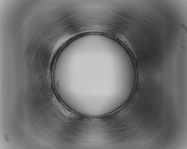 X0000103171072200809051716