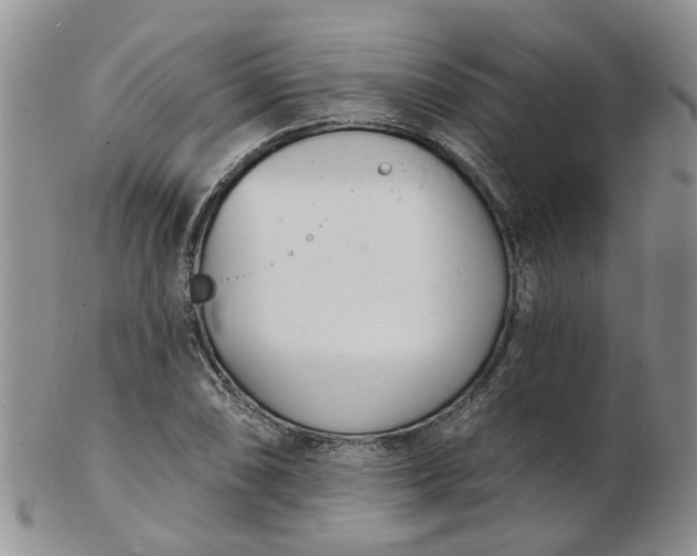 X0000103171074200809051716