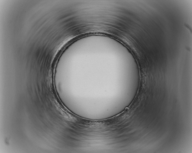 X0000103171076200809051716