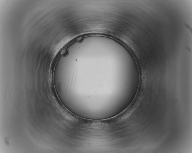 X0000103171077200809051716