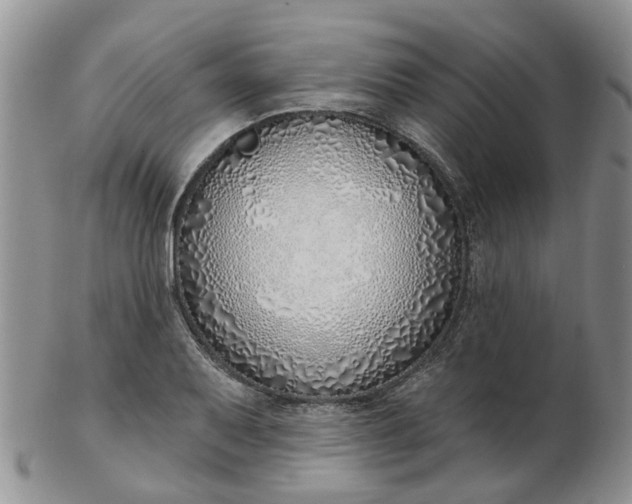 X0000103171079200809051716