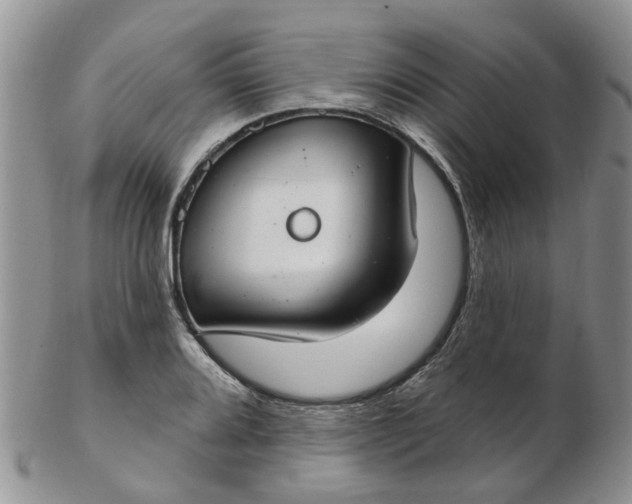 X0000103171080200809051716