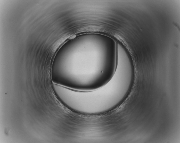 X0000103171081200809051716