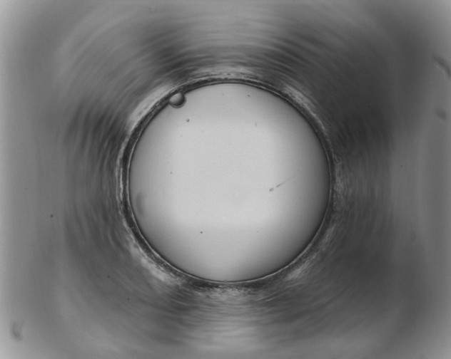 X0000103171082200809051716