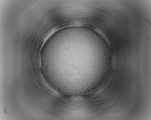 X0000103171083200809051716