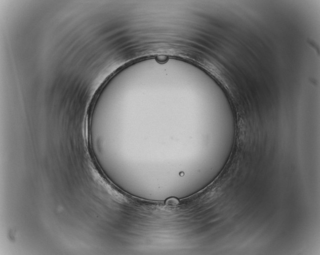 X0000103171084200809051716