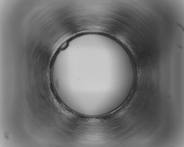 X0000103171085200809051716