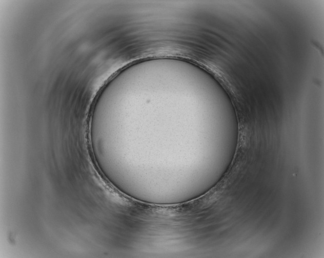 X0000103171086200809051716