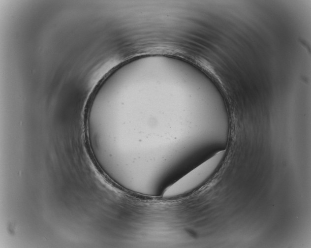 X0000103171087200809051716