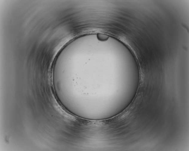 X0000103171090200809051716