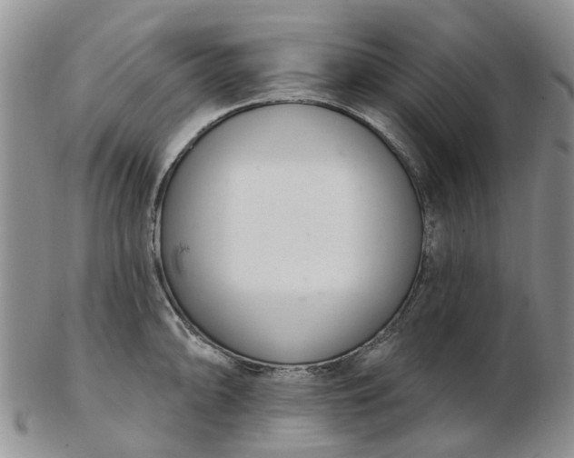 X0000103171094200809051716