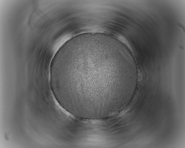 X0000103171095200809051716