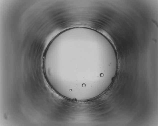 X0000103171096200809051716