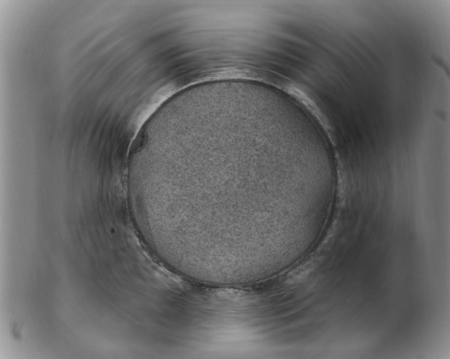 X0000103171097200809051716