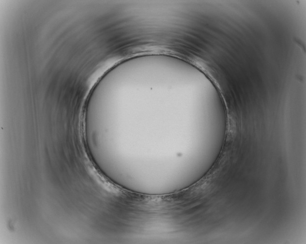 X0000103171098200809051716